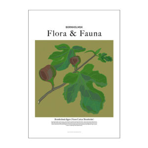 Plakat med bornholmsk figen. Flora & fauna-plakat fra On The Wall Bornholm.
