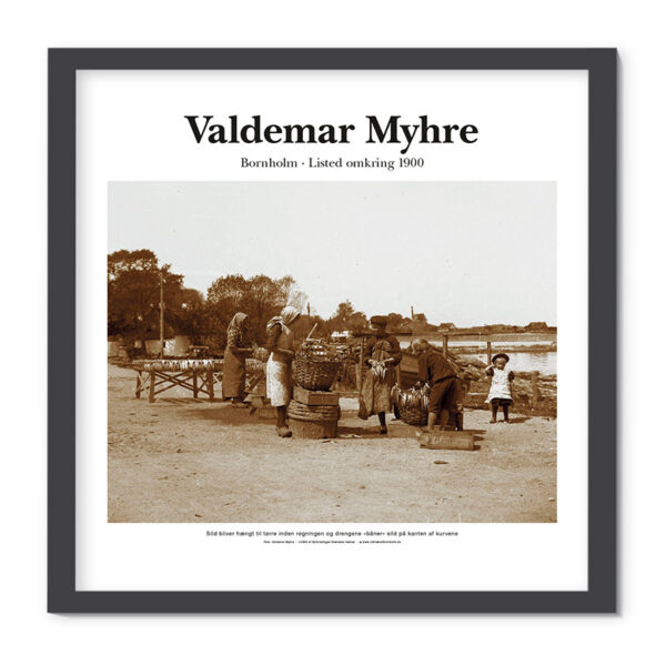 Plakat med billede i sepia af fotograf Valdemar Myhre omkring 1900: Sild hænges til tørre i Listed, Bornholm.